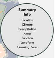 summary info bubble