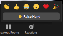 Raise Hand button